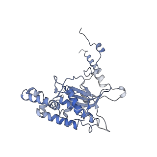 8123_5it7_DD_v1-4
Structure of the Kluyveromyces lactis 80S ribosome in complex with the cricket paralysis virus IRES and eEF2
