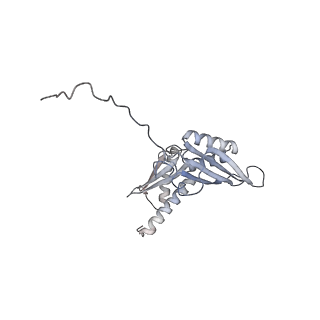 8123_5it7_D_v1-4
Structure of the Kluyveromyces lactis 80S ribosome in complex with the cricket paralysis virus IRES and eEF2