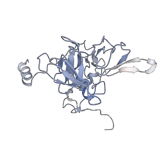 8123_5it7_E_v1-4
Structure of the Kluyveromyces lactis 80S ribosome in complex with the cricket paralysis virus IRES and eEF2