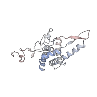 8123_5it7_F_v1-4
Structure of the Kluyveromyces lactis 80S ribosome in complex with the cricket paralysis virus IRES and eEF2