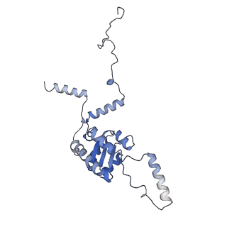 8123_5it7_GG_v1-4
Structure of the Kluyveromyces lactis 80S ribosome in complex with the cricket paralysis virus IRES and eEF2