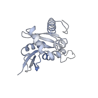 8123_5it7_H_v1-4
Structure of the Kluyveromyces lactis 80S ribosome in complex with the cricket paralysis virus IRES and eEF2