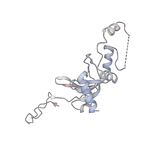 8123_5it7_I_v1-4
Structure of the Kluyveromyces lactis 80S ribosome in complex with the cricket paralysis virus IRES and eEF2