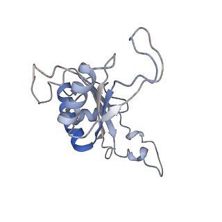 8123_5it7_JJ_v1-4
Structure of the Kluyveromyces lactis 80S ribosome in complex with the cricket paralysis virus IRES and eEF2