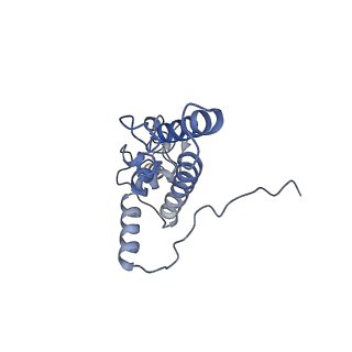 8123_5it7_J_v1-4
Structure of the Kluyveromyces lactis 80S ribosome in complex with the cricket paralysis virus IRES and eEF2