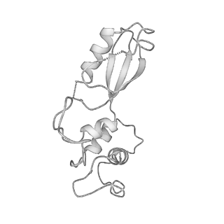 8123_5it7_KK_v1-4
Structure of the Kluyveromyces lactis 80S ribosome in complex with the cricket paralysis virus IRES and eEF2