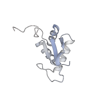 8123_5it7_K_v1-4
Structure of the Kluyveromyces lactis 80S ribosome in complex with the cricket paralysis virus IRES and eEF2