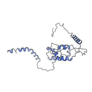 8123_5it7_LL_v1-4
Structure of the Kluyveromyces lactis 80S ribosome in complex with the cricket paralysis virus IRES and eEF2