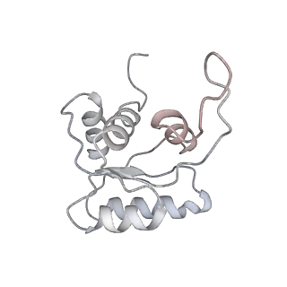 8123_5it7_M_v1-4
Structure of the Kluyveromyces lactis 80S ribosome in complex with the cricket paralysis virus IRES and eEF2
