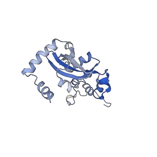 8123_5it7_NN_v1-4
Structure of the Kluyveromyces lactis 80S ribosome in complex with the cricket paralysis virus IRES and eEF2