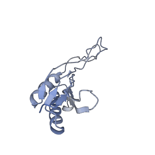 8123_5it7_O_v1-4
Structure of the Kluyveromyces lactis 80S ribosome in complex with the cricket paralysis virus IRES and eEF2