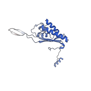 8123_5it7_PP_v1-4
Structure of the Kluyveromyces lactis 80S ribosome in complex with the cricket paralysis virus IRES and eEF2