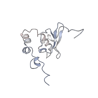 8123_5it7_P_v1-4
Structure of the Kluyveromyces lactis 80S ribosome in complex with the cricket paralysis virus IRES and eEF2