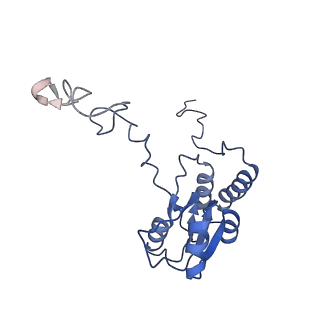 8123_5it7_QQ_v1-4
Structure of the Kluyveromyces lactis 80S ribosome in complex with the cricket paralysis virus IRES and eEF2