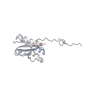 8123_5it7_Q_v1-4
Structure of the Kluyveromyces lactis 80S ribosome in complex with the cricket paralysis virus IRES and eEF2