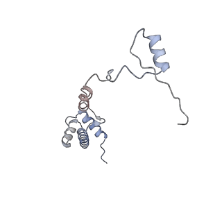 8123_5it7_R_v1-4
Structure of the Kluyveromyces lactis 80S ribosome in complex with the cricket paralysis virus IRES and eEF2