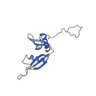 8123_5it7_SS_v1-4
Structure of the Kluyveromyces lactis 80S ribosome in complex with the cricket paralysis virus IRES and eEF2