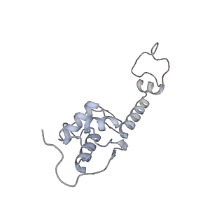 8123_5it7_S_v1-4
Structure of the Kluyveromyces lactis 80S ribosome in complex with the cricket paralysis virus IRES and eEF2