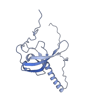 8123_5it7_TT_v1-4
Structure of the Kluyveromyces lactis 80S ribosome in complex with the cricket paralysis virus IRES and eEF2