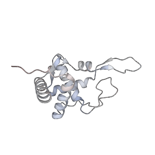 8123_5it7_T_v1-4
Structure of the Kluyveromyces lactis 80S ribosome in complex with the cricket paralysis virus IRES and eEF2