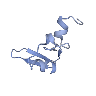 8123_5it7_WW_v1-4
Structure of the Kluyveromyces lactis 80S ribosome in complex with the cricket paralysis virus IRES and eEF2