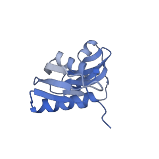 8123_5it7_W_v1-4
Structure of the Kluyveromyces lactis 80S ribosome in complex with the cricket paralysis virus IRES and eEF2