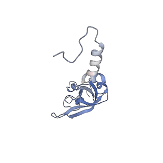 8123_5it7_X_v1-4
Structure of the Kluyveromyces lactis 80S ribosome in complex with the cricket paralysis virus IRES and eEF2