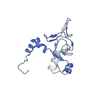 8123_5it7_YY_v1-4
Structure of the Kluyveromyces lactis 80S ribosome in complex with the cricket paralysis virus IRES and eEF2