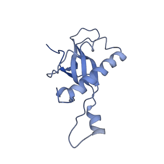 8123_5it7_ZZ_v1-4
Structure of the Kluyveromyces lactis 80S ribosome in complex with the cricket paralysis virus IRES and eEF2