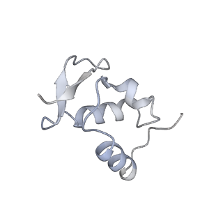 8123_5it7_Z_v1-4
Structure of the Kluyveromyces lactis 80S ribosome in complex with the cricket paralysis virus IRES and eEF2