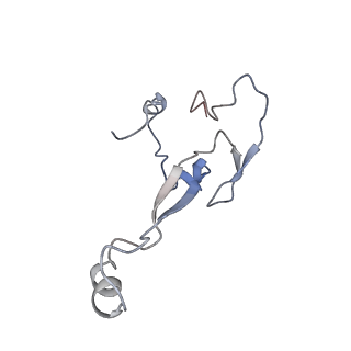 8123_5it7_a_v1-4
Structure of the Kluyveromyces lactis 80S ribosome in complex with the cricket paralysis virus IRES and eEF2
