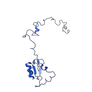 8123_5it7_aa_v1-4
Structure of the Kluyveromyces lactis 80S ribosome in complex with the cricket paralysis virus IRES and eEF2