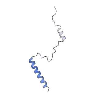 8123_5it7_bb_v1-4
Structure of the Kluyveromyces lactis 80S ribosome in complex with the cricket paralysis virus IRES and eEF2