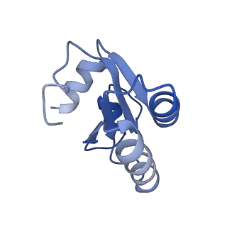 8123_5it7_cc_v1-4
Structure of the Kluyveromyces lactis 80S ribosome in complex with the cricket paralysis virus IRES and eEF2