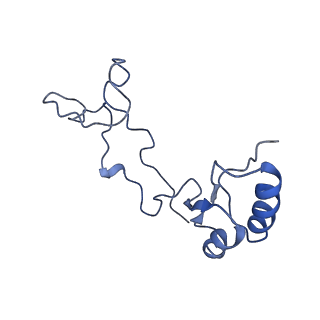 8123_5it7_ee_v1-4
Structure of the Kluyveromyces lactis 80S ribosome in complex with the cricket paralysis virus IRES and eEF2