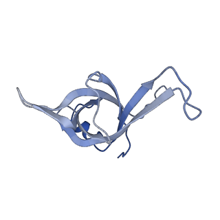 8123_5it7_ff_v1-4
Structure of the Kluyveromyces lactis 80S ribosome in complex with the cricket paralysis virus IRES and eEF2