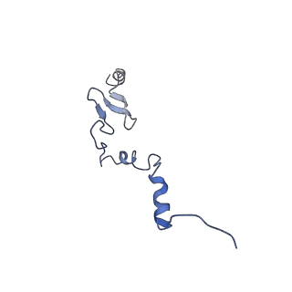 8123_5it7_jj_v1-4
Structure of the Kluyveromyces lactis 80S ribosome in complex with the cricket paralysis virus IRES and eEF2