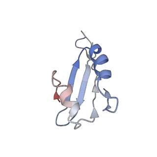 8123_5it7_kk_v1-4
Structure of the Kluyveromyces lactis 80S ribosome in complex with the cricket paralysis virus IRES and eEF2
