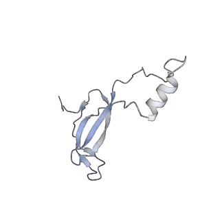 8123_5it7_oo_v1-4
Structure of the Kluyveromyces lactis 80S ribosome in complex with the cricket paralysis virus IRES and eEF2