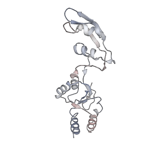 8123_5it7_rr_v1-4
Structure of the Kluyveromyces lactis 80S ribosome in complex with the cricket paralysis virus IRES and eEF2