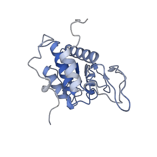 8124_5it9_A_v1-2
Structure of the yeast Kluyveromyces lactis small ribosomal subunit in complex with the cricket paralysis virus IRES.