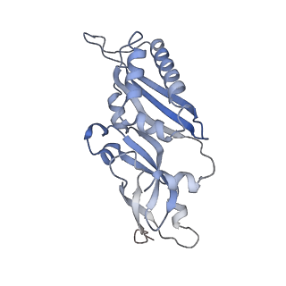 8124_5it9_B_v1-2
Structure of the yeast Kluyveromyces lactis small ribosomal subunit in complex with the cricket paralysis virus IRES.
