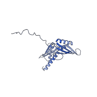 8124_5it9_D_v1-2
Structure of the yeast Kluyveromyces lactis small ribosomal subunit in complex with the cricket paralysis virus IRES.