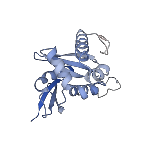 8124_5it9_H_v1-2
Structure of the yeast Kluyveromyces lactis small ribosomal subunit in complex with the cricket paralysis virus IRES.