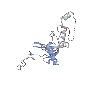8124_5it9_I_v1-2
Structure of the yeast Kluyveromyces lactis small ribosomal subunit in complex with the cricket paralysis virus IRES.
