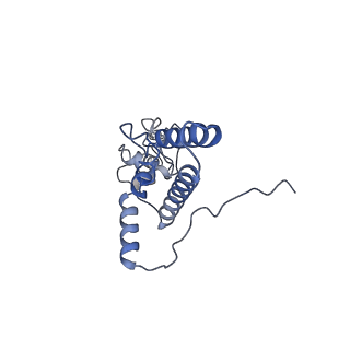 8124_5it9_J_v1-2
Structure of the yeast Kluyveromyces lactis small ribosomal subunit in complex with the cricket paralysis virus IRES.