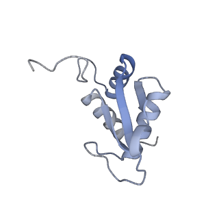 8124_5it9_K_v1-2
Structure of the yeast Kluyveromyces lactis small ribosomal subunit in complex with the cricket paralysis virus IRES.