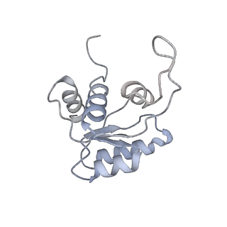 8124_5it9_M_v1-2
Structure of the yeast Kluyveromyces lactis small ribosomal subunit in complex with the cricket paralysis virus IRES.