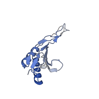 8124_5it9_O_v1-2
Structure of the yeast Kluyveromyces lactis small ribosomal subunit in complex with the cricket paralysis virus IRES.