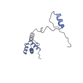 8124_5it9_R_v1-2
Structure of the yeast Kluyveromyces lactis small ribosomal subunit in complex with the cricket paralysis virus IRES.
